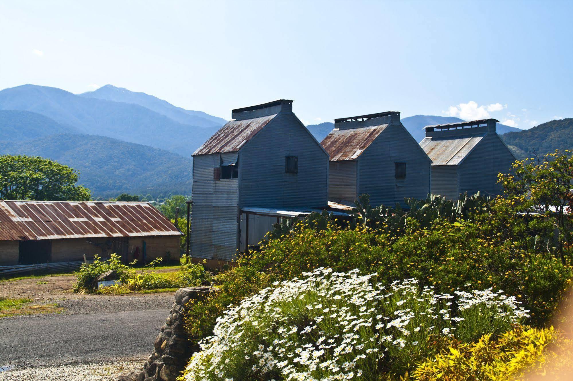 Alpenhorn Holiday Units Mount Beauty Exterior foto